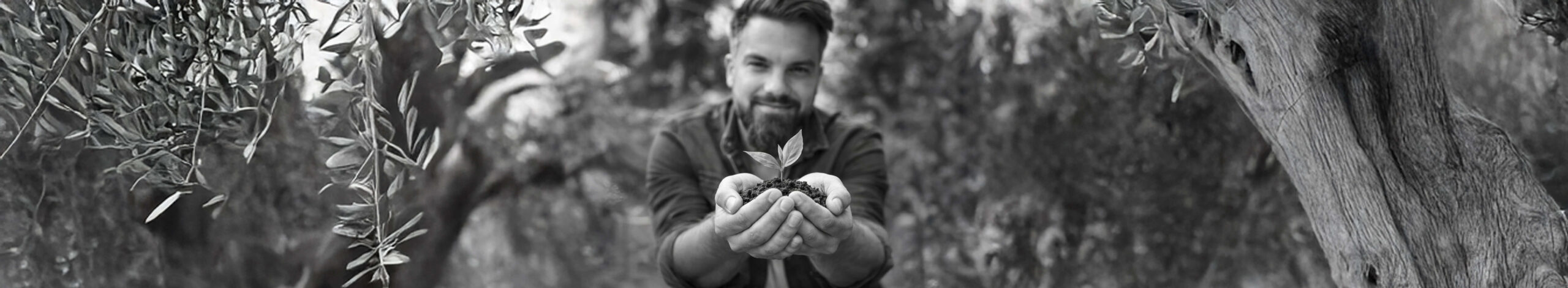 Pflanzenhandel Stefan Strohmaier